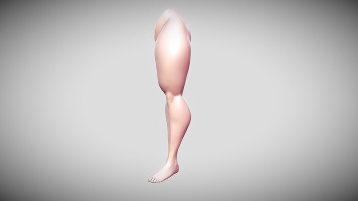 body102-meatyLeg 3D Model