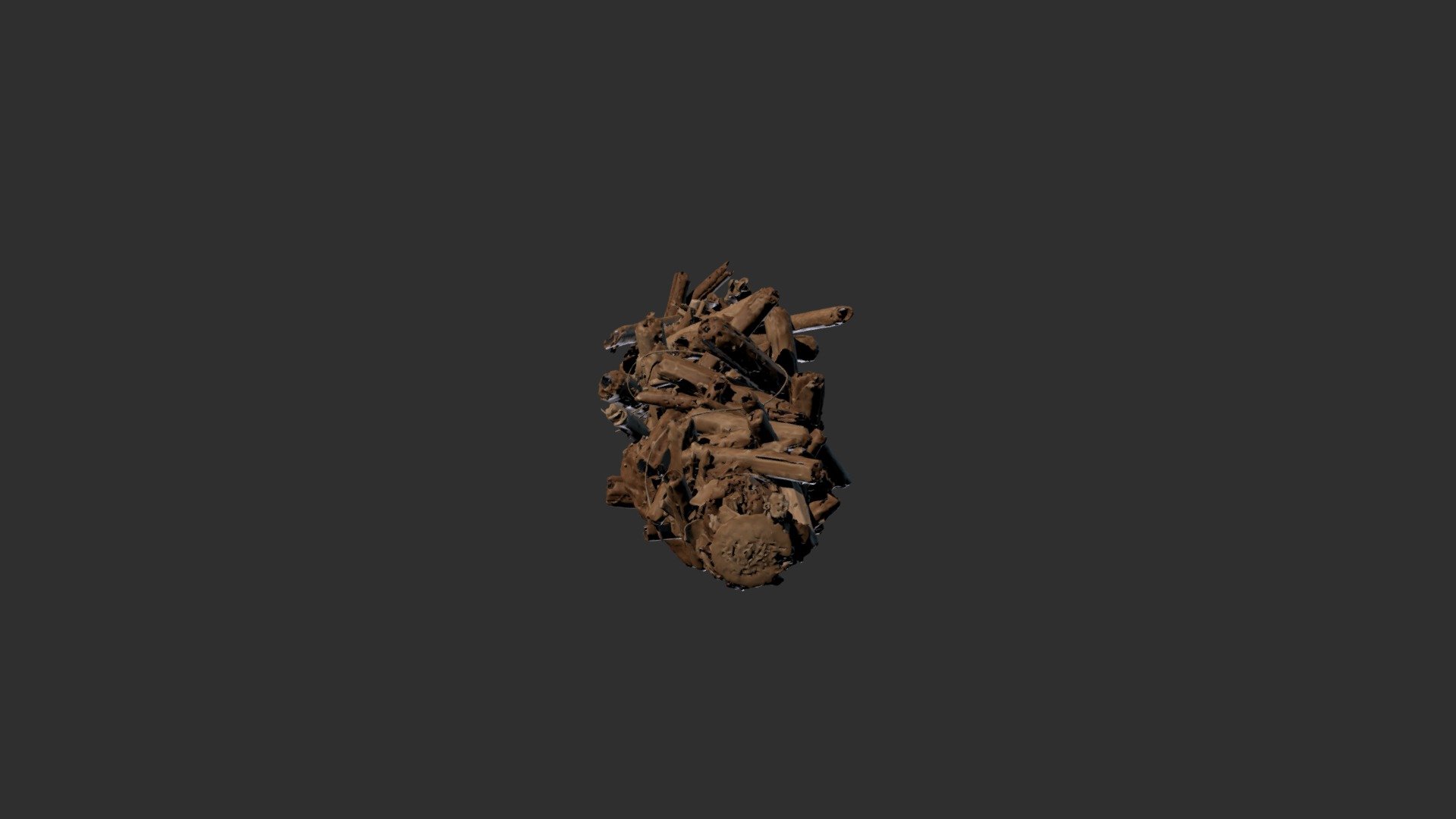 Bagworm Larva