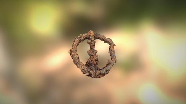 3D Visualization of Iron Age Penannular Brooch 3D Model