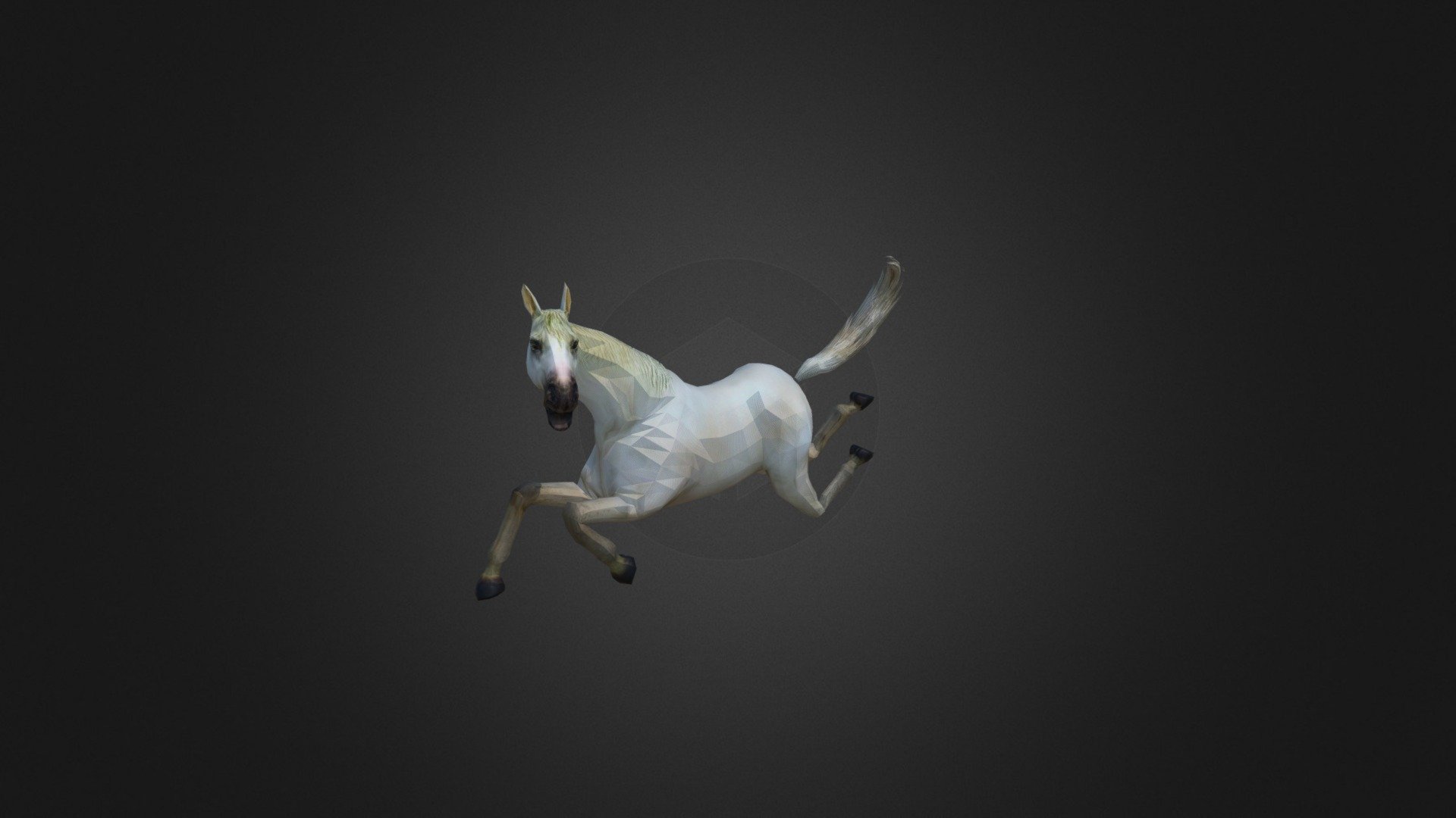 Horse2