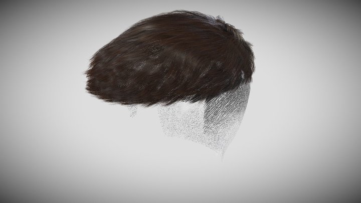 Real Time Hair Card Male Hairstyle part 06 3D Model