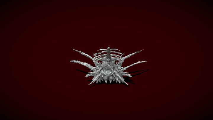 Bone Thingy 3D Model