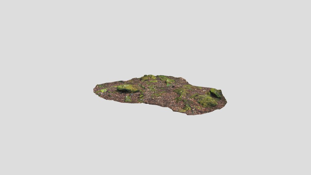 Mossy Patch Of Forest Floor Photoscan