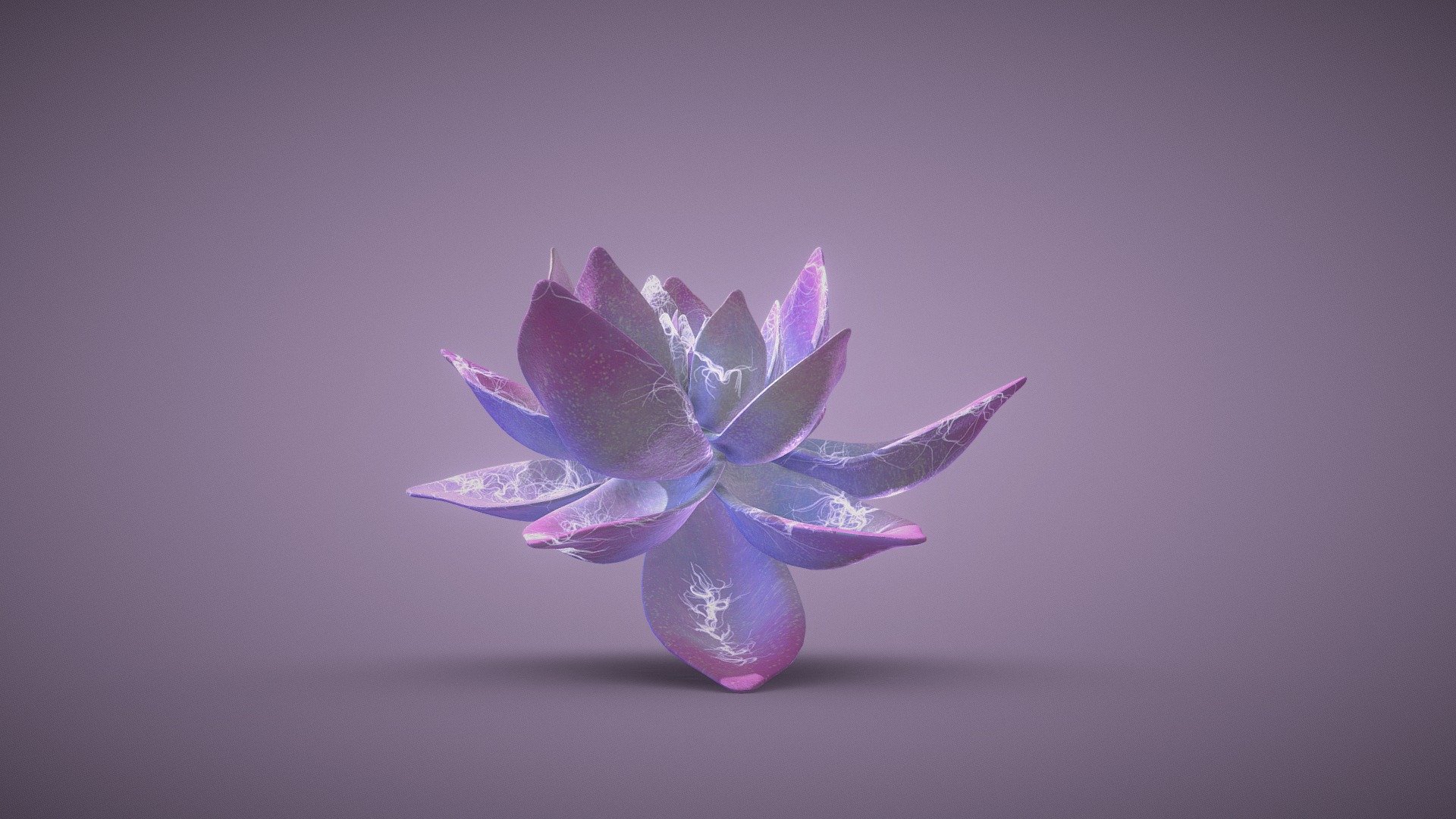 Bright Water Lily