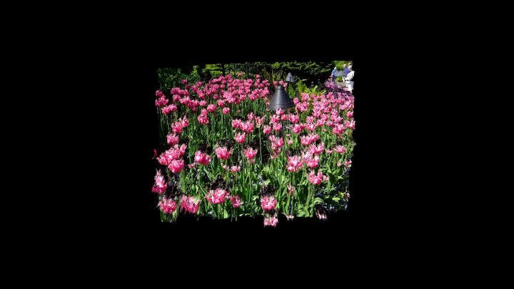 Garden - DSCF5614 L 244-255 11389 3D Model