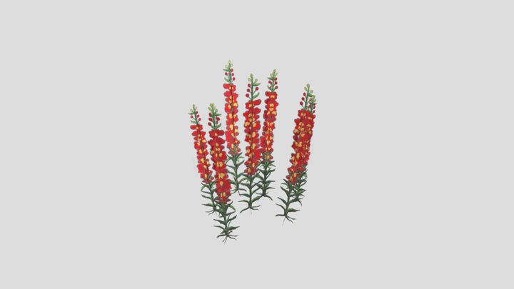 SM_ Snapdragon_CAO 3D Model