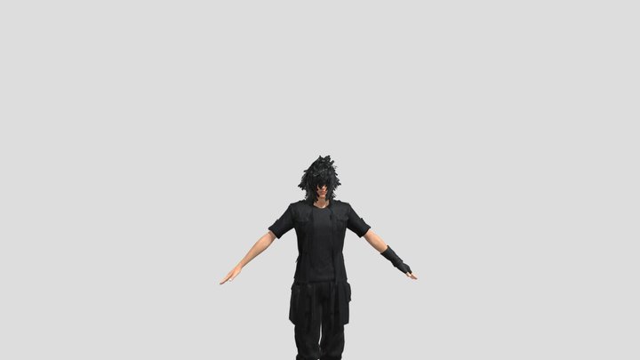 Noctis Lucis Caelum 3D Model