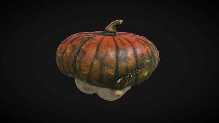 Turban Gourd for Crafts - Fresh and Versatile 3D Model