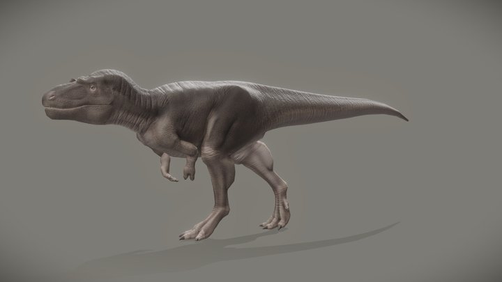Daspletosaurus Torosus 3D Model