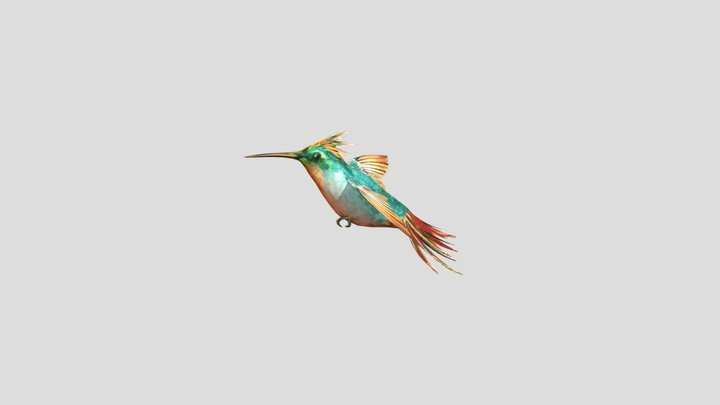 Hummingbird__ Flying020 3D Model