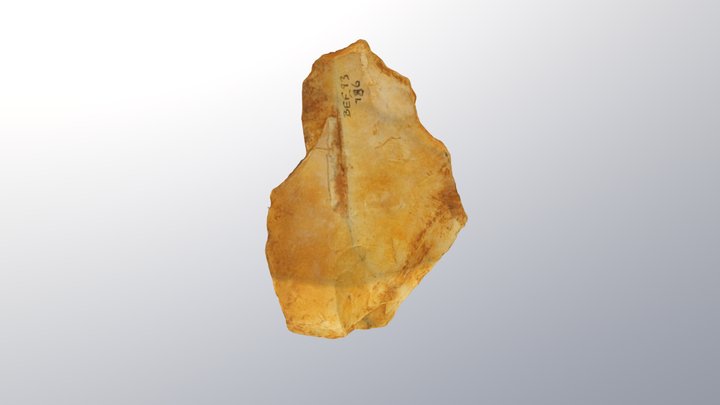 Barnham Handaxe Manufacturing Flake 3D Model