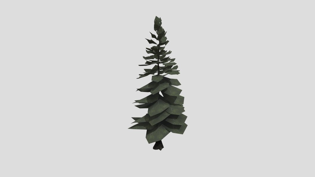Norway Spruce Tree Sml 01