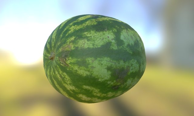 Watermelon 01 3D Model