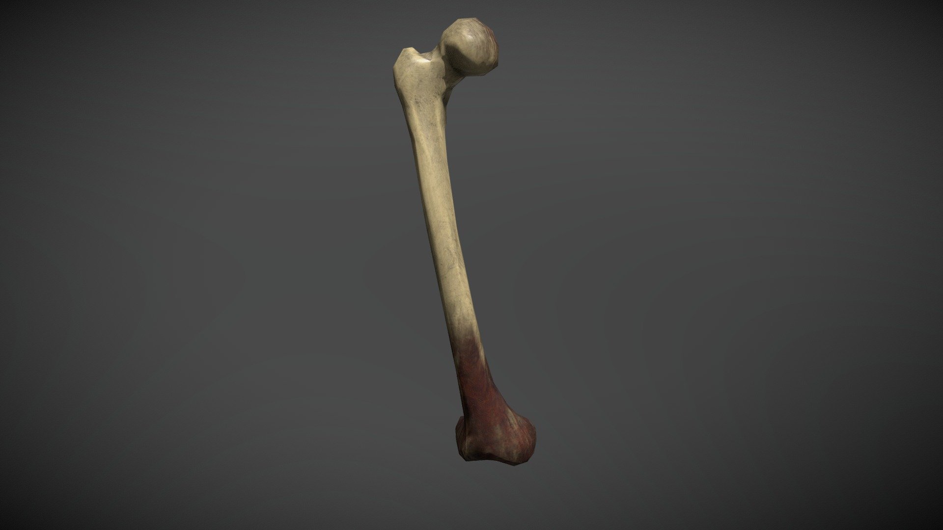 Prestine Thighbone - 3d Model By Cryptofights [538a7ff] - Sketchfab