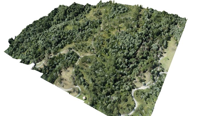 Aerolevantamento - D&S 3D Model