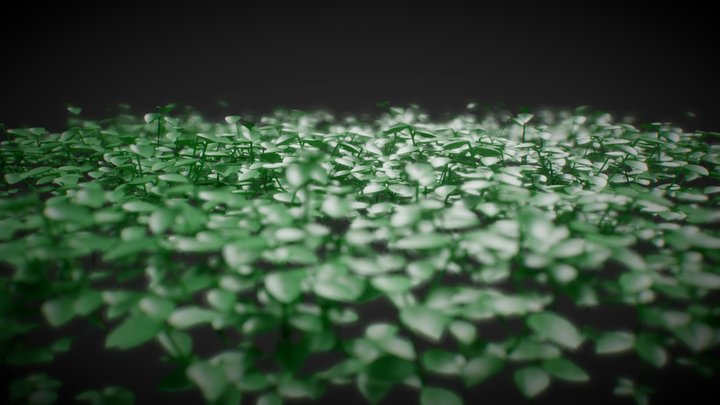 WIP 3D Model