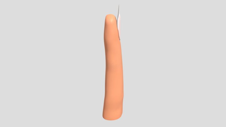 Fingernail UGA 3D Model