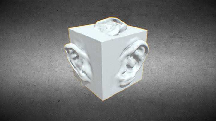 Ear Study Cube 3D Model