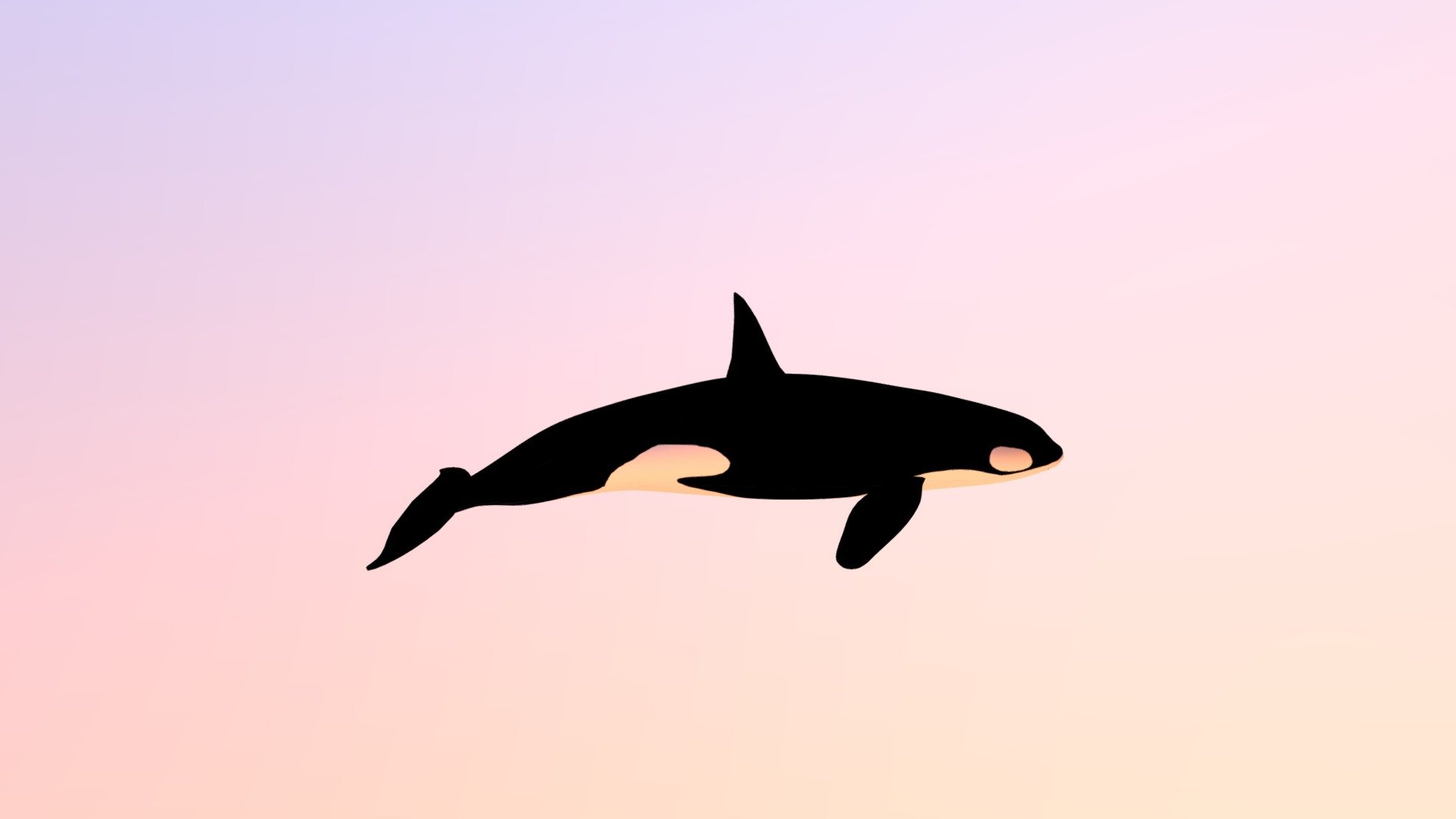 Orca