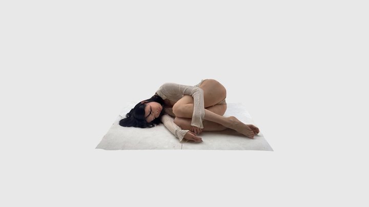 Performance 3D Model