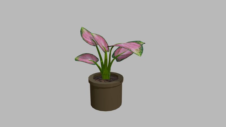 Week 8 - Plant 3D Model