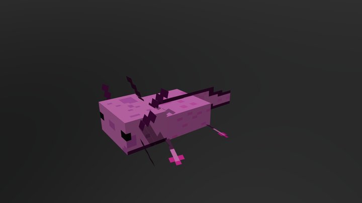 Minecraft Axelotl 3D Model