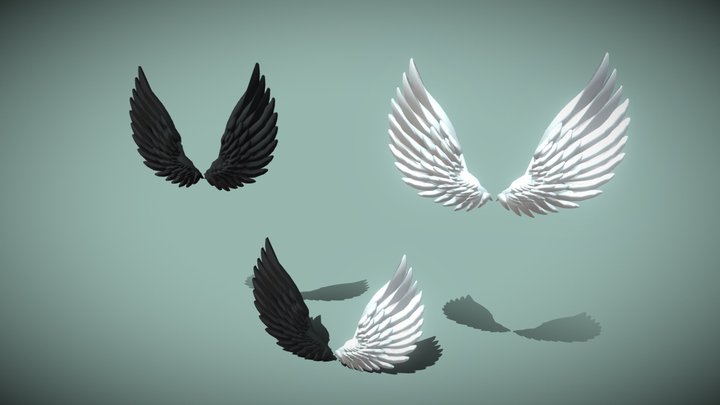 Wings 3D Model