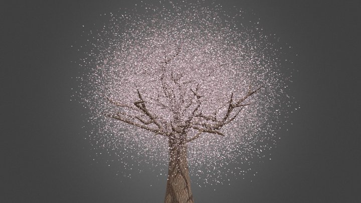 Cherry Tree 3D Model