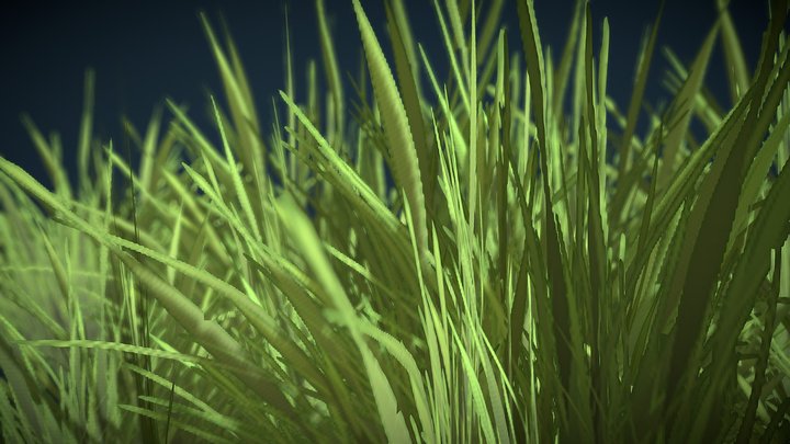Grass 02 3D Model