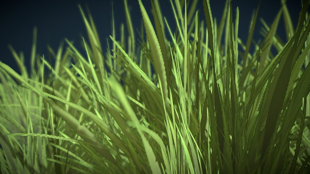 Grass 02