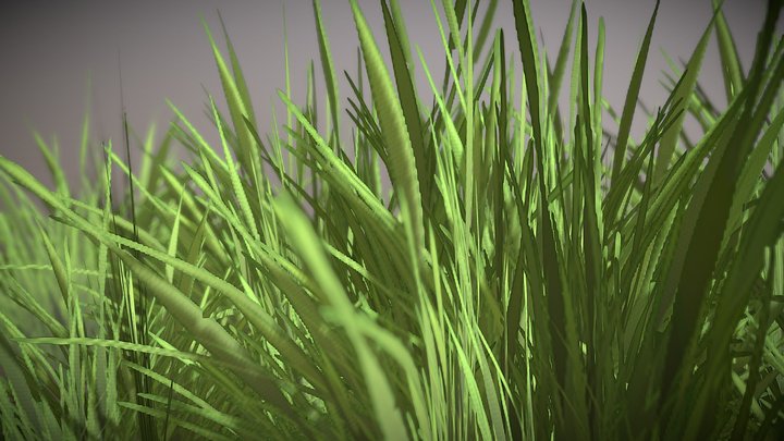 Grass 02 3D Model