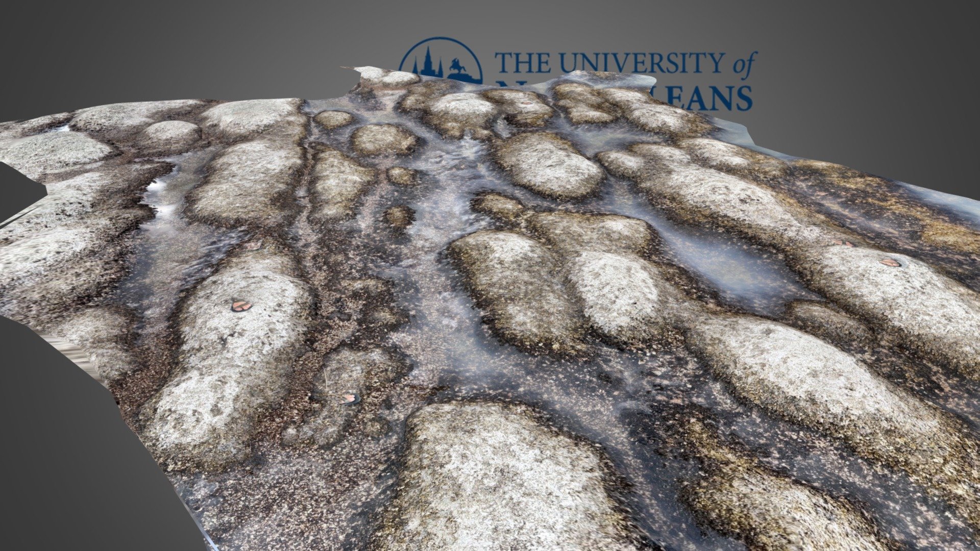 Great salt lake microbialite mounds