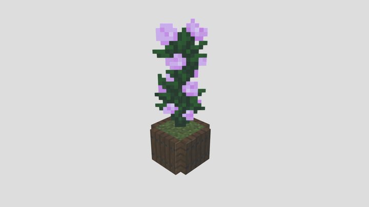 Peony 3D Model