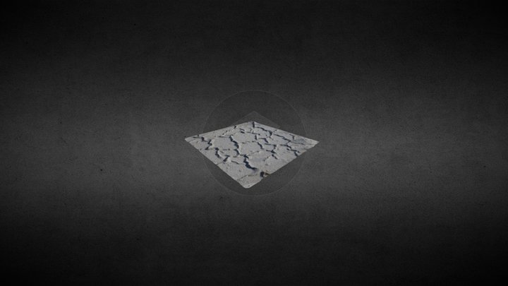 SALT FLAT 3D Model