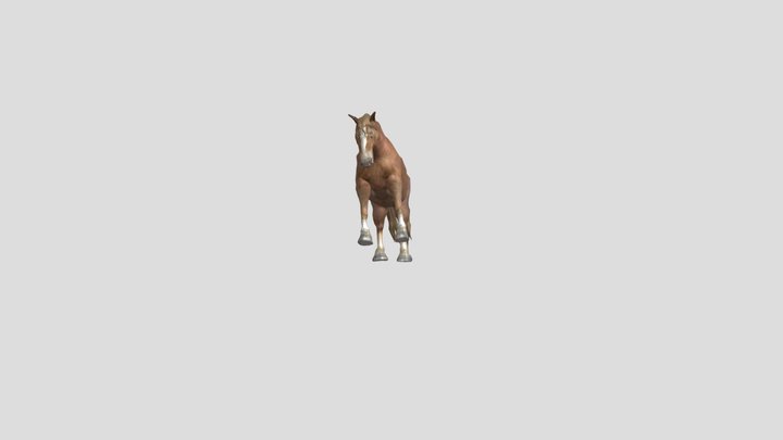 Horse 3D Model