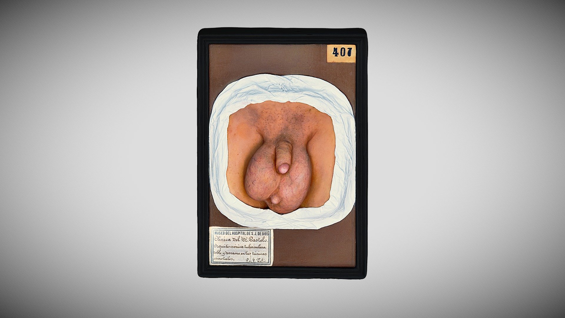 401 - 382 — Sketchfab embed 3D viewer
