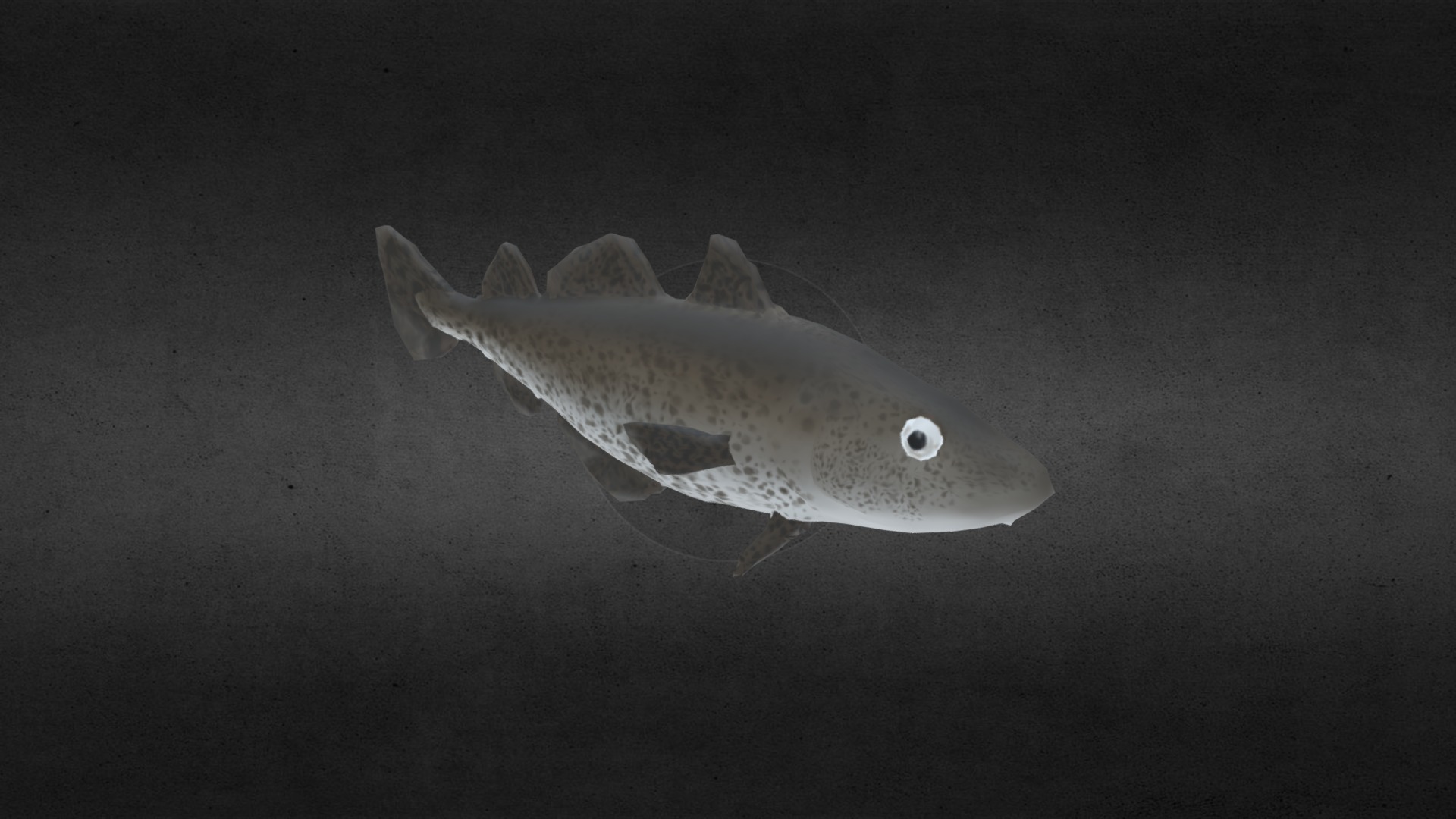 3D model Cod Fish - This is a 3D model of the Cod Fish. The 3D model is about a fish on a black surface.