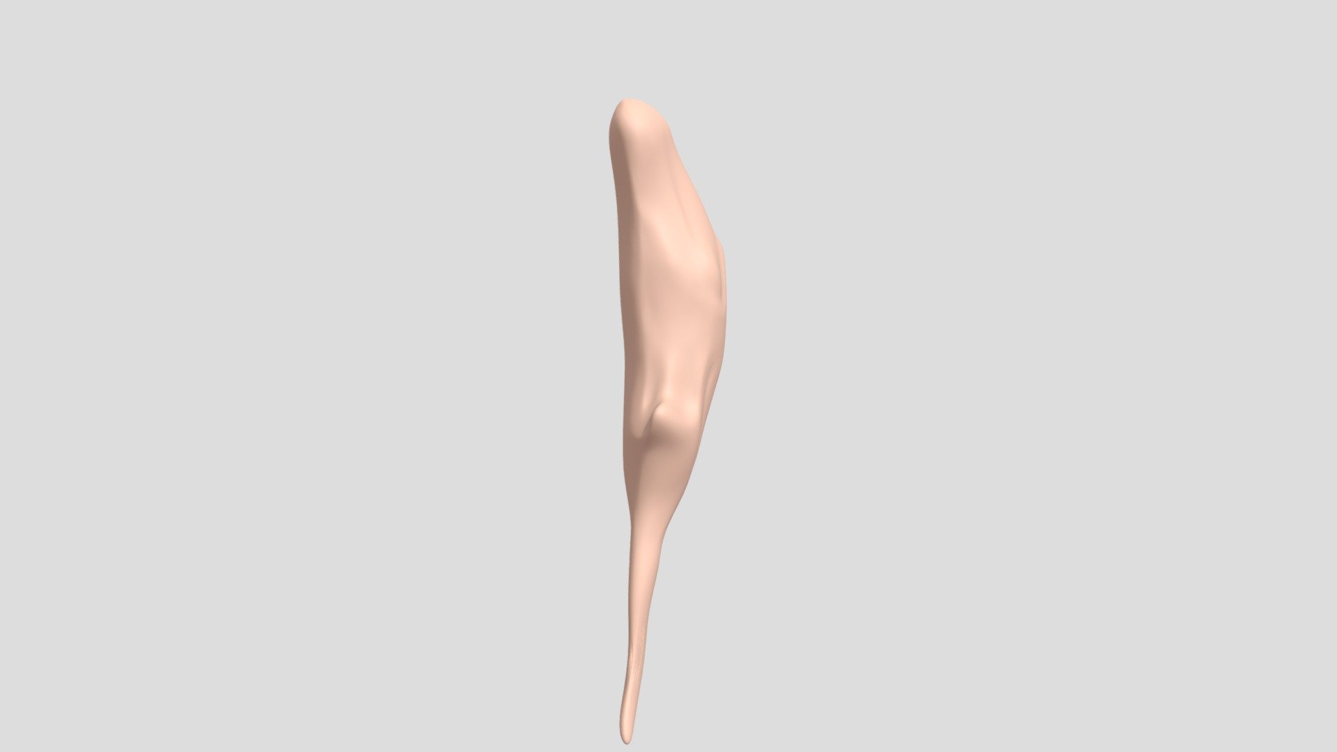 Tauraspis Escudo - 3D model by Mugueta [53acf81] - Sketchfab