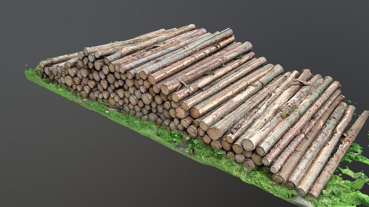 Cut trees pine logs stack heap in forest 3D Model