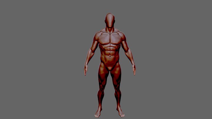 body_male 3D Model