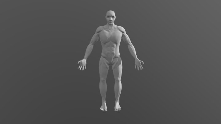 Bípedo Base 3D Model
