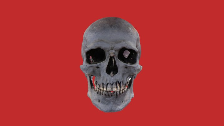 Gristhorpe Man Skull 3D Model