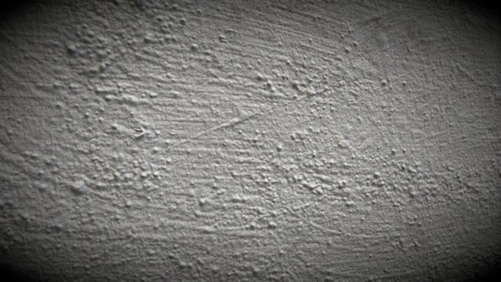 RealityScan - Painted Render 3D Model