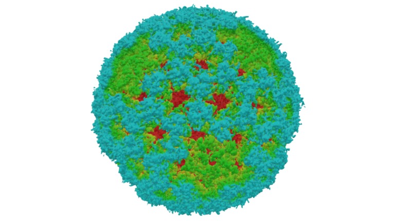 EMDB › EMD-5160 - 3D model by Interactive 3D Data (@proteinsimulation ...
