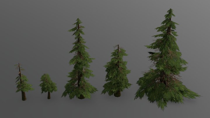 Pine tree low poly 3D Model