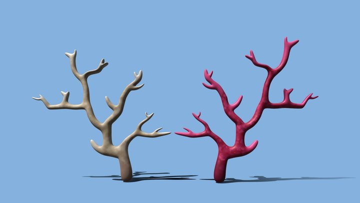 Coral Wall 'Deep Sea Star' 3D Model