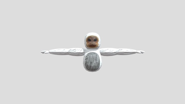 Capuchin Player rigged 3D Model