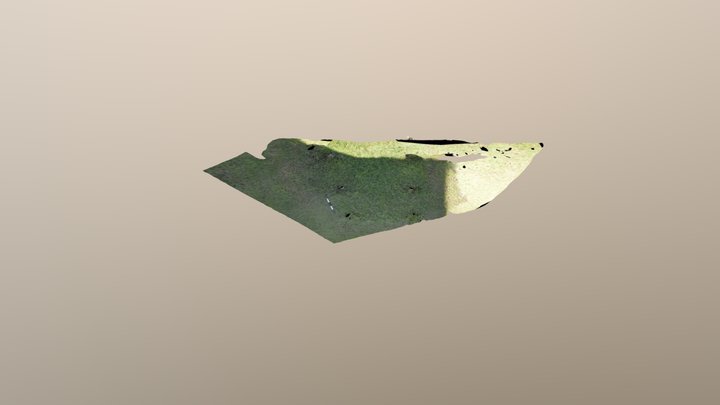 UoG little latte 3D Model