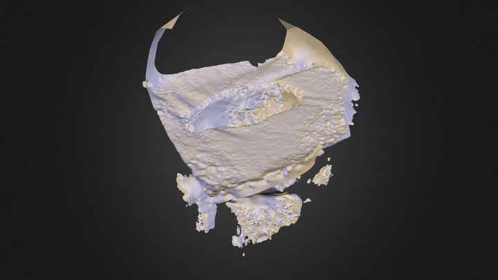 photoscan-polar-bear-2223-0107-2014 3D Model