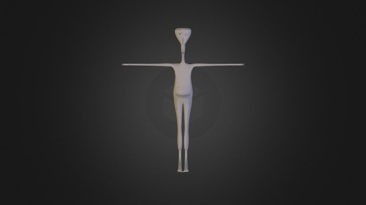 "Guanes" 3D Model